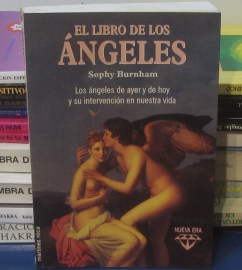 EL LIBRO DE LOS ANGELES